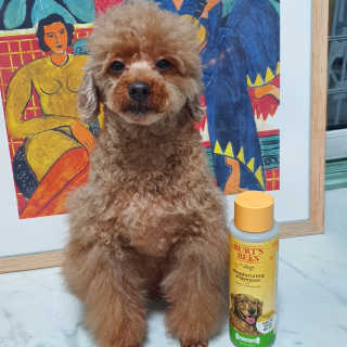 김이설님이 올린 리뷰 사진 1
