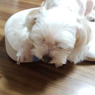 youngran님이 올린 리뷰 사진 2