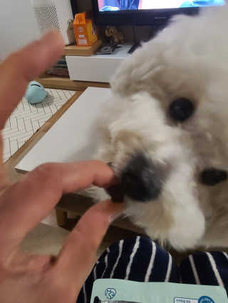 My Pet Care 천연단백질 눈건강에 개좋아 — 5점을 준 리뷰어가 2020년 12월 올린 사용 사진