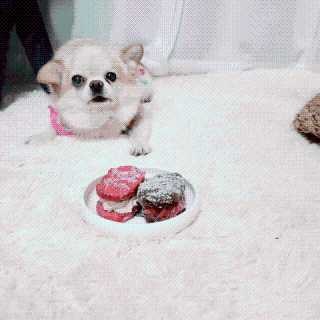 때니님이 올린 리뷰 사진 2