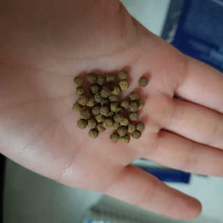 똥기사의 케이푸드 화이버슬림 — 4점을 준 리뷰어가 2020년 11월 올린 사용 사진