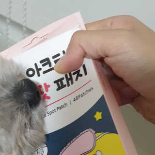 BlossomY님이 올린 리뷰 사진 3