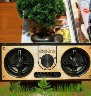 SEVIZ RETRO20W 레트로 블루투스 스피커 — 5점을 준 리뷰어가 2020년 9월 올린 사용 사진