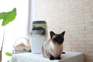 InesSong님이 올린 리뷰 사진 3