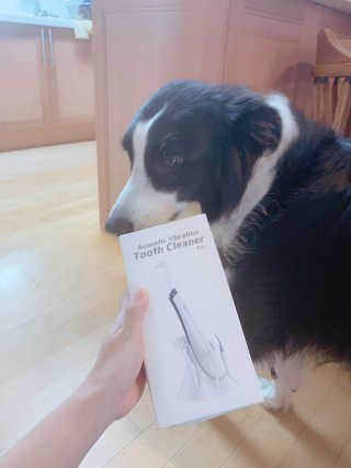 리디아은서님이 올린 리뷰 사진 2