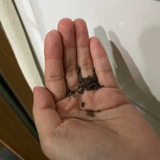 뉸뉸냔냐님이 올린 리뷰 사진 4
