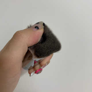 챔미님이 올린 리뷰 사진 3