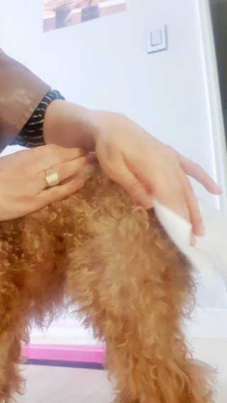들장미캔디님이 올린 리뷰 사진 3