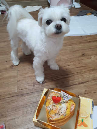 뽀오오옹님이 올린 리뷰 사진 2