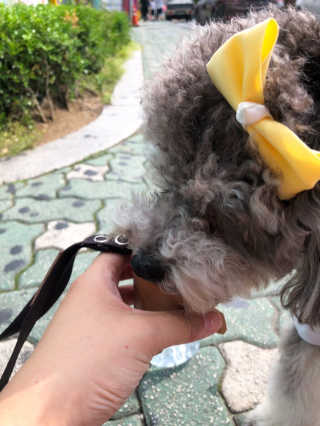 바니님이 올린 리뷰 사진 3