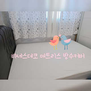 Hi♥️KITTY님이 올린 리뷰 사진 1