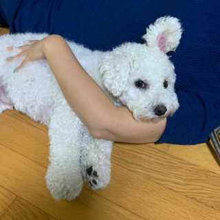 리뷰라뷰뷰님이 올린 리뷰 사진 3