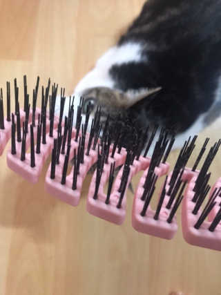 정수민님이 올린 리뷰 사진 4