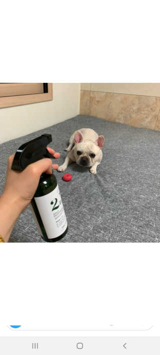 이샤르르님이 올린 리뷰 사진 3