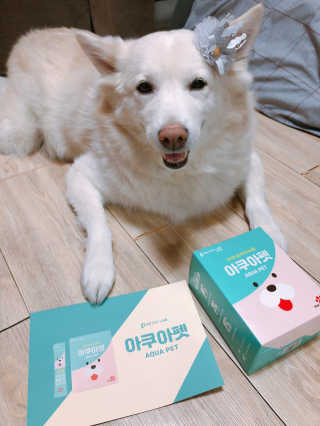 펫시랩 반려견용 액상 프리바이오틱스 아쿠아펫 — 5점을 준 리뷰어가 2020년 12월 올린 사용 사진
