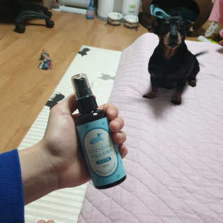 쩡님이 올린 리뷰 사진 2