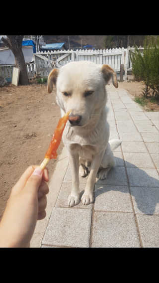 두부누나님이 올린 리뷰 사진 3