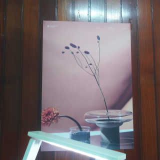 라운디드 코리아 [라운디드] 원더플라워 포스터 6종 중 2종 랜덤발송 — 5점을 준 리뷰어가 2020년 10월 올린 사용 사진