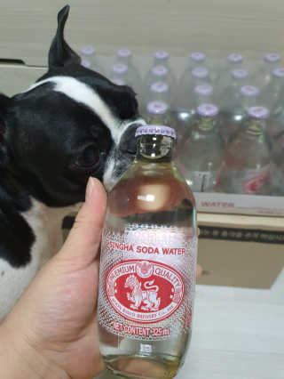 삼꽃단하나님이 올린 리뷰 사진 2