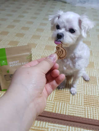 박수인님이 올린 리뷰 사진 3