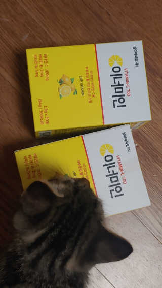 리나님이 올린 리뷰 사진 1