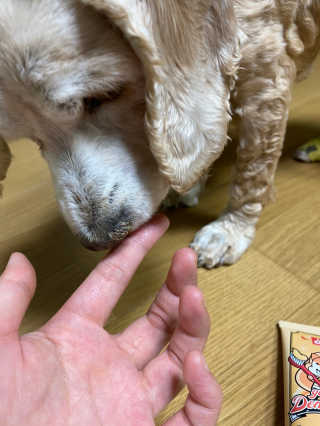 샐랄ㄹ라라라님이 올린 리뷰 사진 2