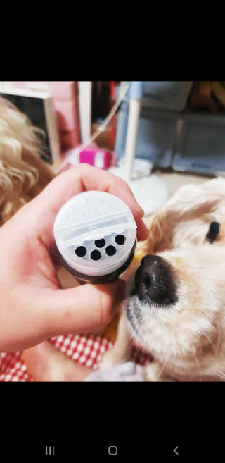 콜보리님이 올린 리뷰 사진 3