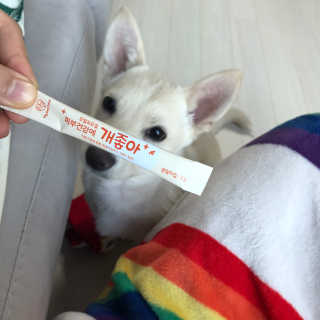 My Pet Care 모발과 모질 피부건강에 개좋아 — 2.5점을 준 리뷰어가 2020년 12월 올린 사용 사진