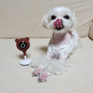 youngran님이 올린 리뷰 사진 1