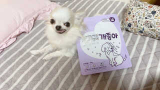 My Pet Care 천연단백질 치아건강에 개좋아 — 5점을 준 리뷰어가 2020년 11월 올린 사용 사진