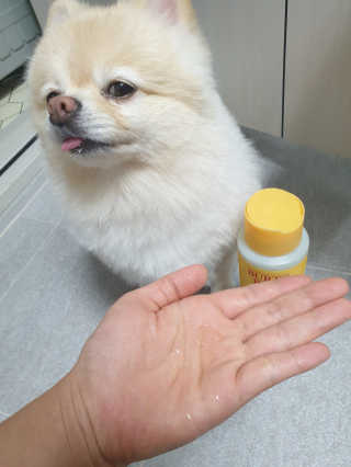 bangwoori님이 올린 리뷰 사진 4