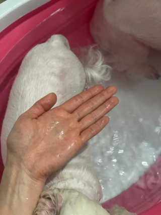 salamba님이 올린 리뷰 사진 3