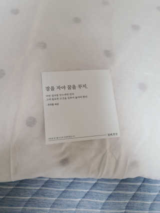 휴고링 언제 어디서나 깨끗한 베개-잘때한장 위생 베개시트 3매 — 5점을 준 리뷰어가 2020년 8월 올린 사용 사진
