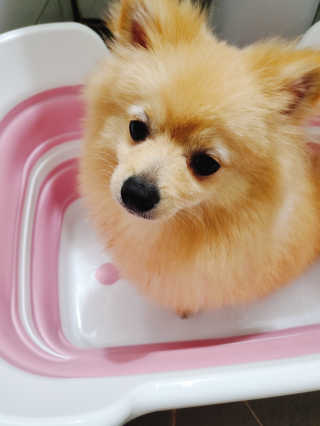 으콩님이 올린 리뷰 사진 3