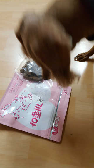 My Pet Care 천연단백질 관절건강에 개좋아 — 5점을 준 리뷰어가 2020년 11월 올린 사용 사진