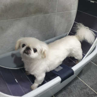 mini unni님이 올린 리뷰 사진 4
