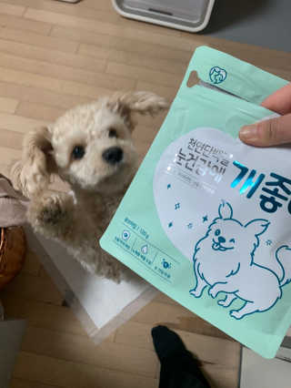 My Pet Care 천연단백질 눈건강에 개좋아 — 5점을 준 리뷰어가 2020년 11월 올린 사용 사진