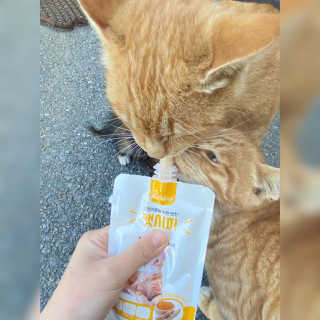 늉2님이 올린 리뷰 사진 2