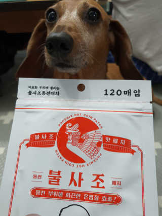 끙순둥단님이 올린 리뷰 사진 1