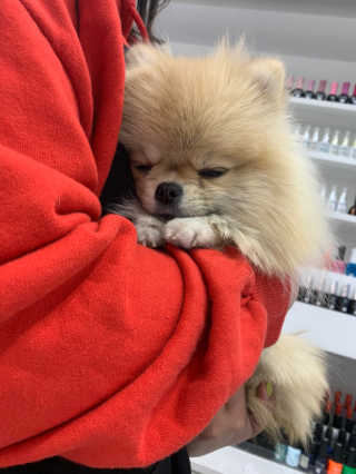 다옹쓰님이 올린 리뷰 사진 3