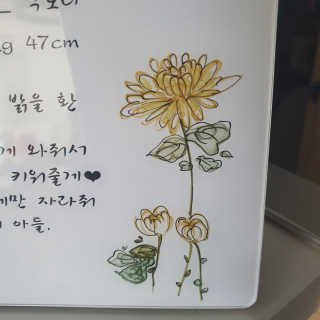뀨뀨님이 올린 리뷰 사진 2