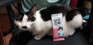 은지님이 올린 리뷰 사진 1