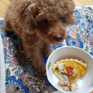 제이드님이 올린 리뷰 사진 3