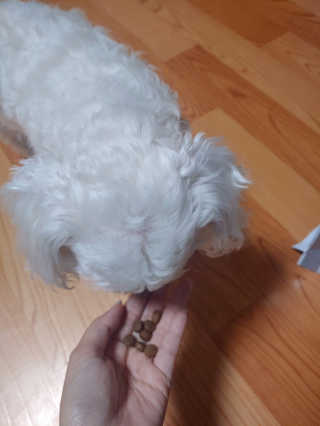 연이님이 올린 리뷰 사진 2