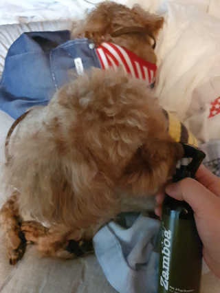 둥히님이 올린 리뷰 사진 1