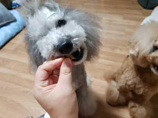 홍소영님이 올린 리뷰 사진 2