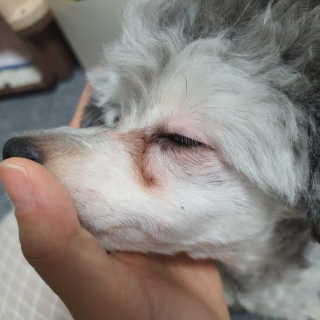 김이설님이 올린 리뷰 사진 4