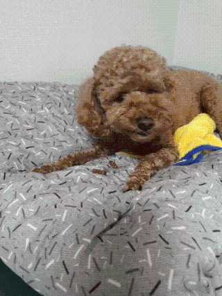 모떼네님이 올린 리뷰 사진 2