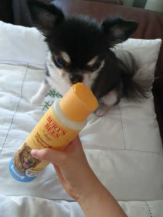 개구리뒷다리님이 올린 리뷰 사진 2