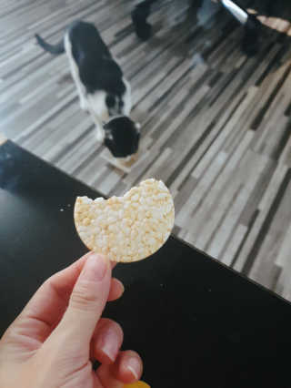 퓨리아님이 올린 리뷰 사진 2